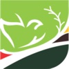Cedars House of Grace icon
