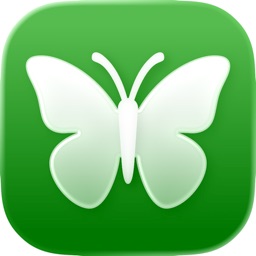 Identification Papillons: IA