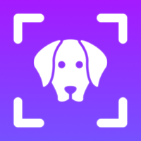 Dog Breed Identifier Dogpedia