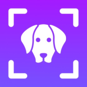 Dog Breed Identifier: Dogpedia