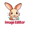 Image Editor Tool icon