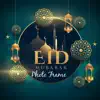 Eid Mubarak 2024 App Feedback