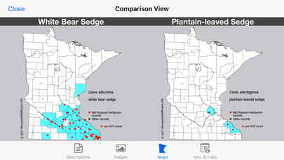 Minnesota Wildflowers Info. Screenshot