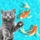Games for Cats Cat Toy – Meow