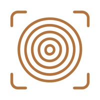 Wood Identifier AI Scanner