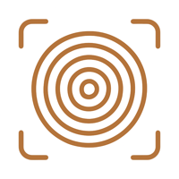 Wood Identifier: AI Scanner