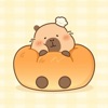 Capybara Soft & Fun Wallpapers icon