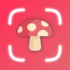 Mushroom Identifier: Mooshfind icon