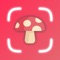 ■■ Welcome to Mooshfind — The Smart Fungus Finder by Picture ■■
