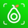 AI Calorie Counter: CaloCare icon
