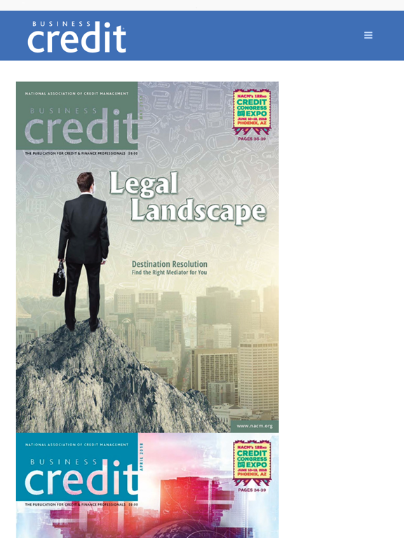 Business Credit iPad screenshot 3 - Business app