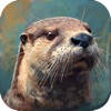 Wild Animals Online(WAO) - iPhoneアプリ