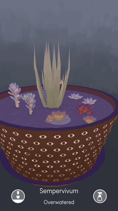 Screenshot #3 pour Viridi