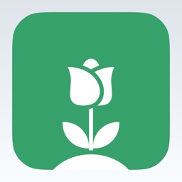 Plant Doctor Identifier Care