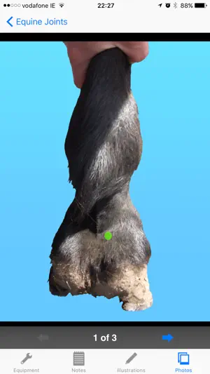 BEVA Equine Joint Injections screenshot 3