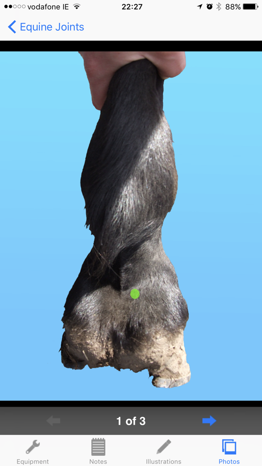 #3. BEVA Equine Joint Injections (iOS) 게시자: Veterinary Advances Ltd