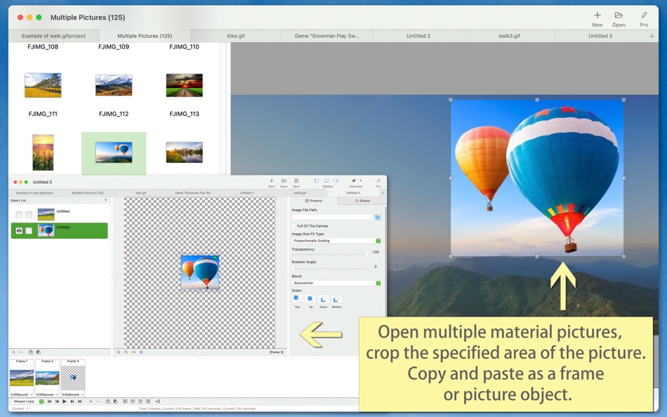 #7. Easy Animated Pictures (macOS) 由: 军 龙
