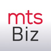 mts Biznis