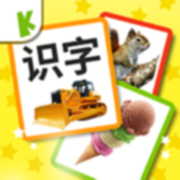 宝宝识字卡-婴幼儿童早教启蒙大全