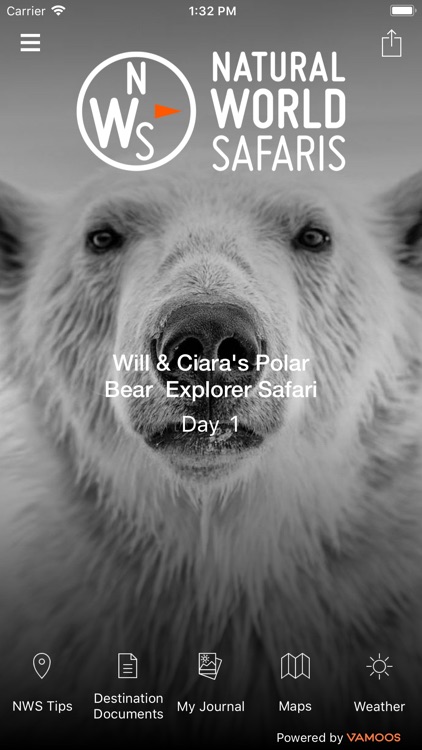 Natural World Safaris