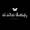 A White Butterfly icon