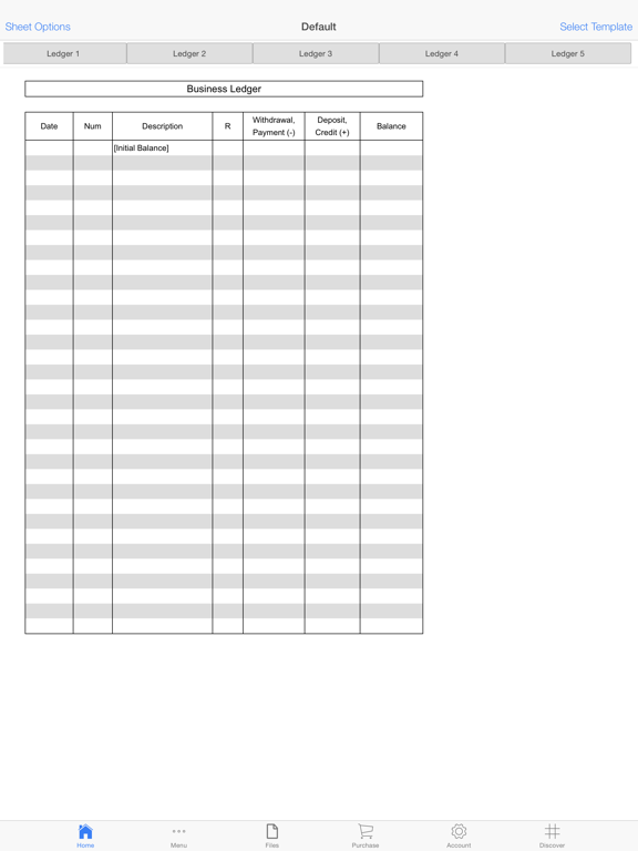 Business Ledger Pro iPad screenshot