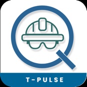 T-Pulse