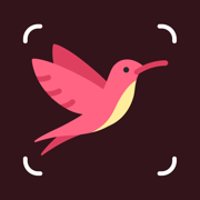 Identify Birds with AI