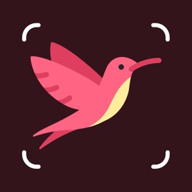 屏幕截图 (3) Identify Birds with AI
