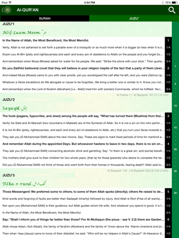 Read Qur'an for Peace iPad screenshot