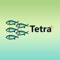 Tetra Teams comprises of Threads (a group place where people can exchange quick chats), ability to upload files in the Threads, do while boarding and save into Threads, and ability to screen share in the Thread