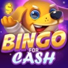 Bingo For Cash - Real Money icon