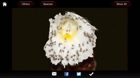 Spiders eGuide screenshot