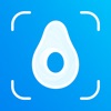 CScore: Calorie & Food Tracker icon