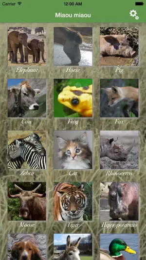 Miaou Miaou: Animal Discovery screenshot 2