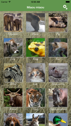 Miaou Miaou: Animal Discovery screenshot 2