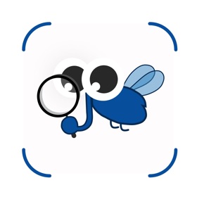 Insect Identifier: InsectGPT