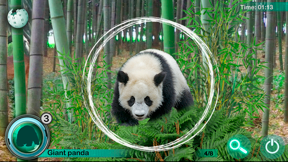 Hidden Animals: Seek and Find screenshot