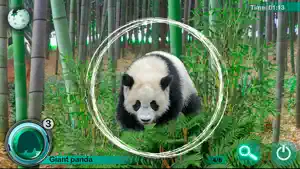 Hidden Animals: Seek and Find screenshot 2