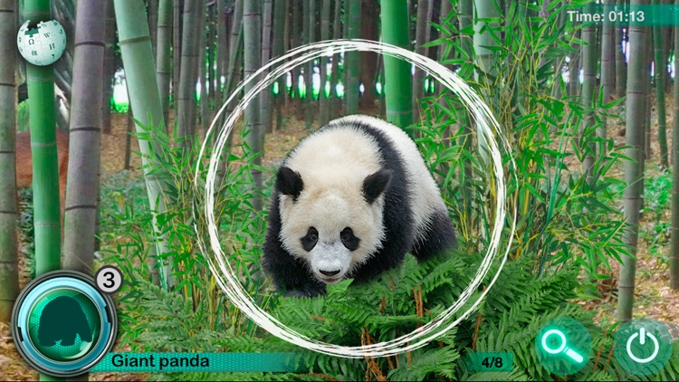 Hidden Animals: Seek and Find