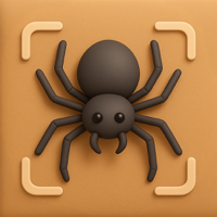 Spider Identifier Spider AI