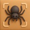 Welcome to "Spider Identifier: Spider AI" – the groundbreaking app redefining how you explore and understand the world of arachnids