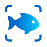Get Fish Identifier - Fish Verify for iOS, iPhone, iPad Aso Report