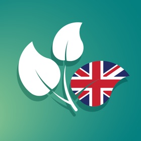 螢幕擷取畫面 (6) Englische Sprache - Twigit