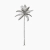 Coconut Wellness Studios icon