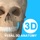 维萨里3D解剖-2024开学必备解剖工具