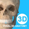 Get 维萨里3D解剖-2024开学必备解剖工具 for iOS, iPhone, iPad Aso Report