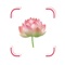 Flower Identifier FlowerBook lets you create your own beautiful flower book, recording every flower you discover and identify