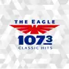 107.3 The Eagle problems & troubleshooting and solutions