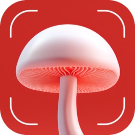 螢幕擷取畫面 (5) Mushroom Identifier - Fungi ID